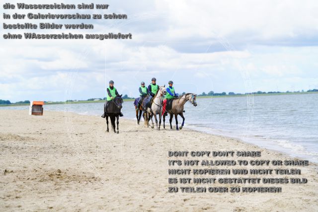 s_K3F05117.JPG